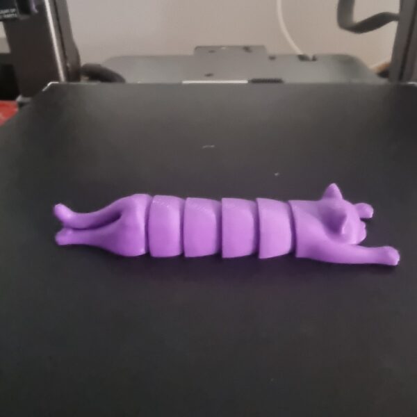 Pisică Articulată Flexibilă – Print 3D de Înaltă Precizie - Image 3