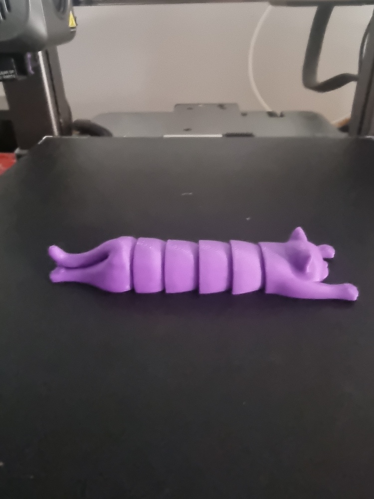 Pisică Articulată Flexibilă – Print 3D de Înaltă Precizie
