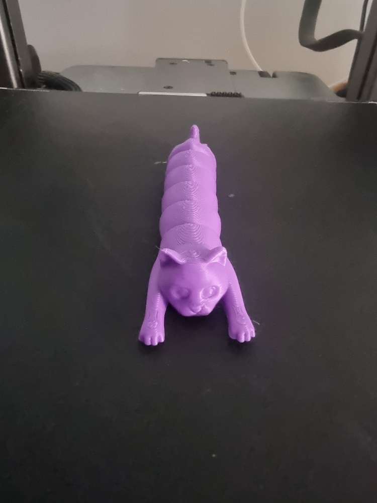 Pisică Articulată Flexibilă – Print 3D de Înaltă Precizie
