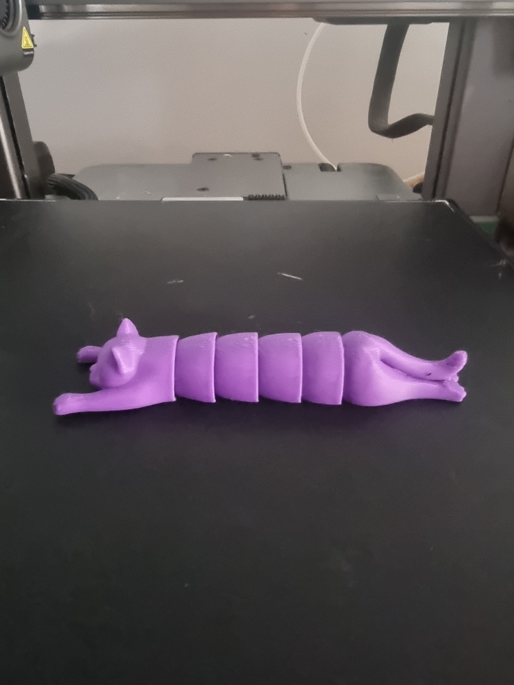 Pisică Articulată Flexibilă – Print 3D de Înaltă Precizie